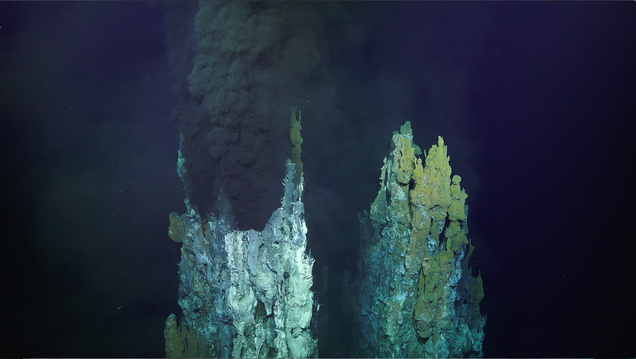 Image: Schmidt Ocean Institute